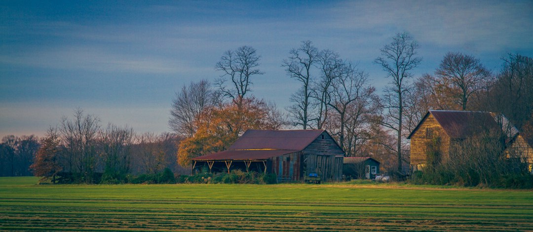 Scheunen in offener Landschaft